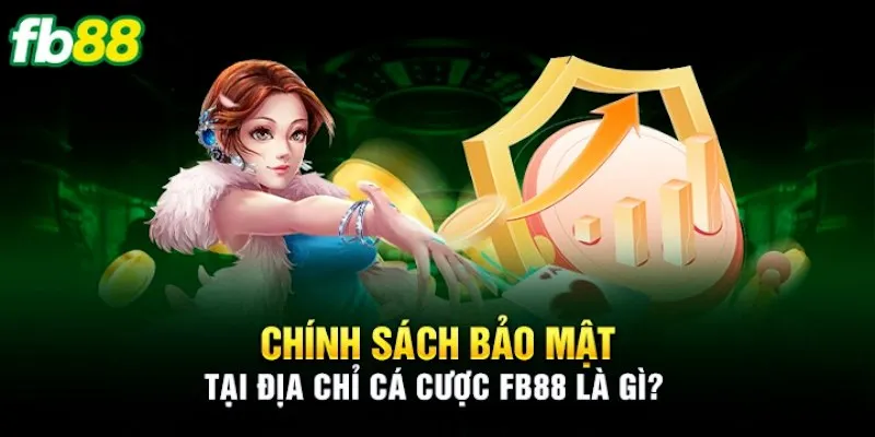 Các thông tin tổng quan chính sách bảo mật tại fb88 là gì