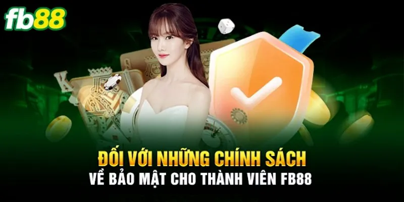 Trách nhiệm của cả hai bên trong các quy định về bảo vệ